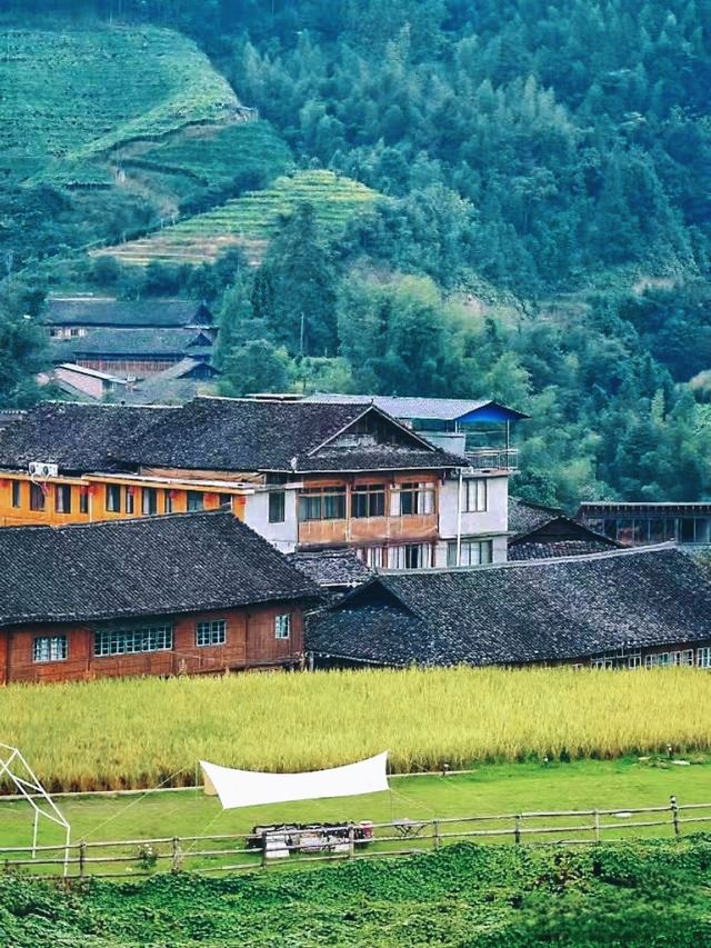 景區推薦打卡：龍脊景區。