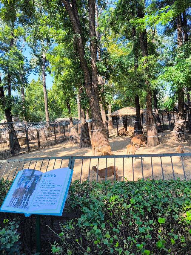 濟南動物園，太陽城。