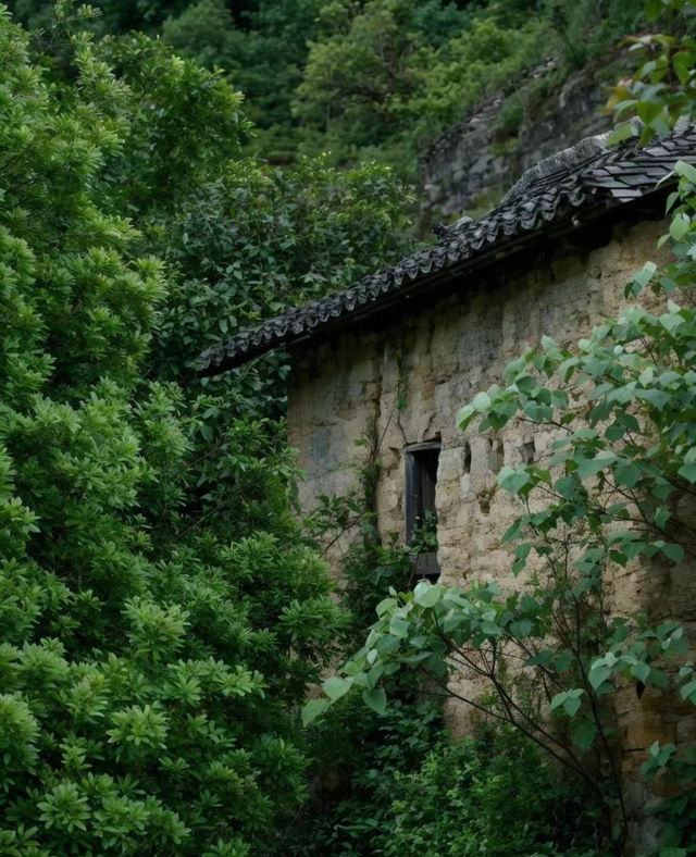 一顆被時間遺忘的明珠•雲塢古村。