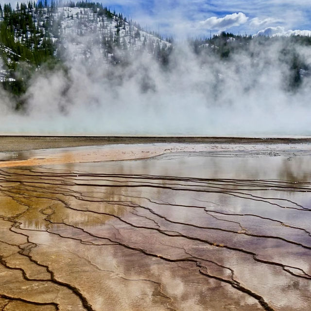 Yellowstone National Park 