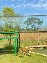 長隆分隆江西 | 唯美動物世界親子遊樂聖地。