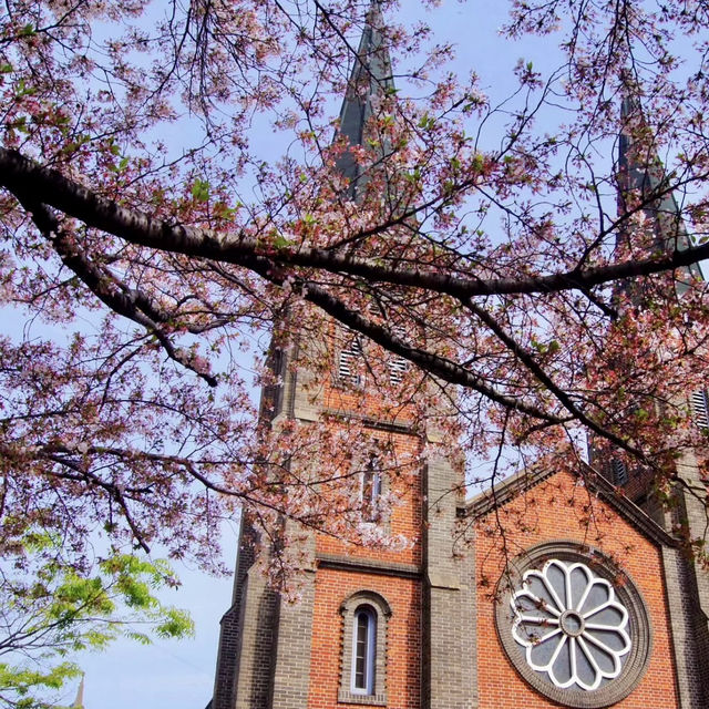 Daegu metropolitan city. Church beauty with Cherry Blossoms