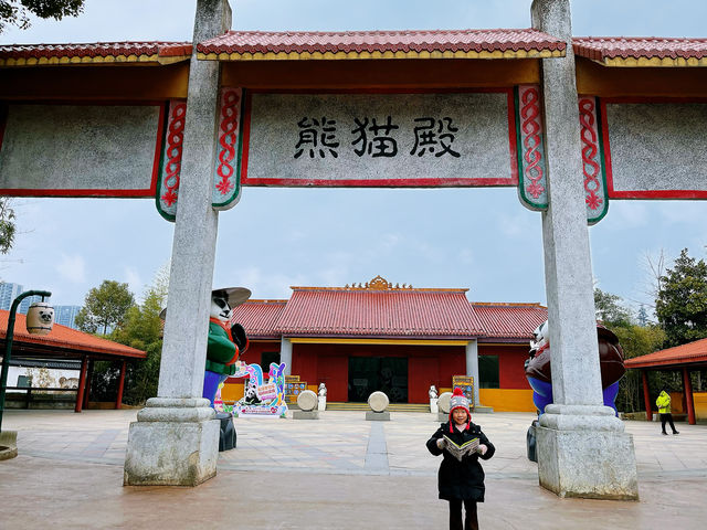 富陽｜看動物、玩樂園、觀演出、坐火車，一票全享。