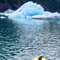 Travel to Alaska such an amazing trip