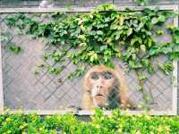 Most Remarkable Street in Chengdu: Kuanzhai Alley, Ancient and Modern Art