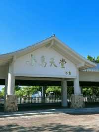 廣東江門小鳥天堂‖感受大自然的奧妙。