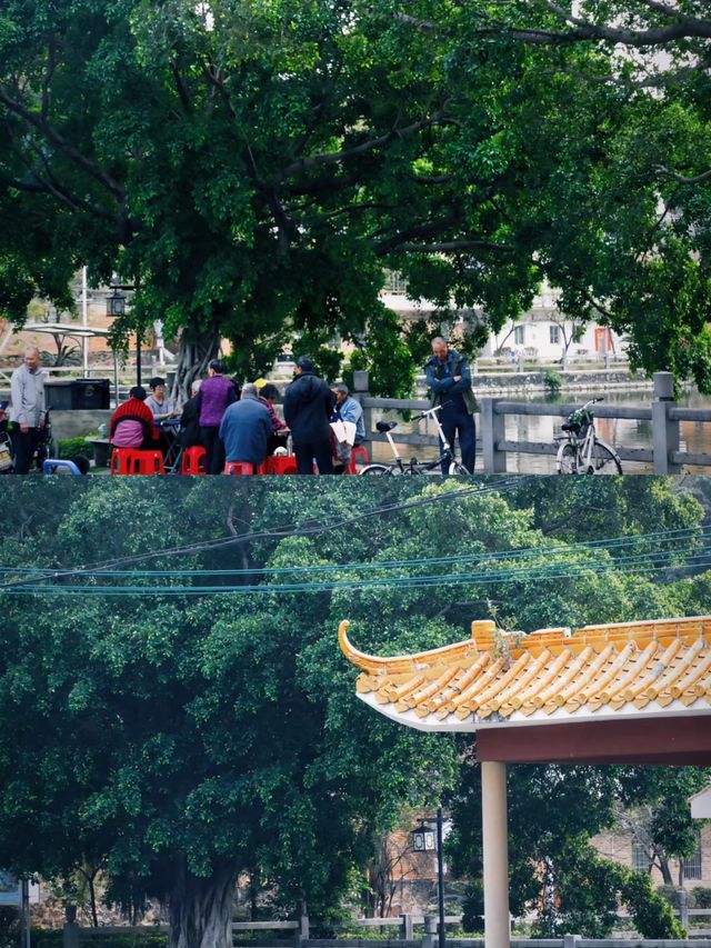 從廣州出發1小時，值得去100次的絕美古村！