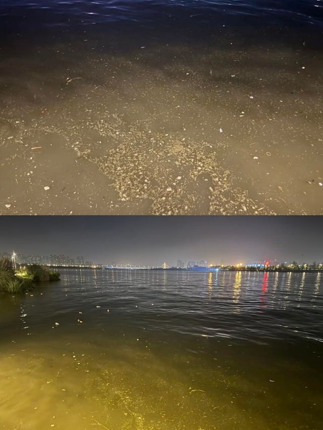 以後來西安，就住這家酒店好住不貴！！！。