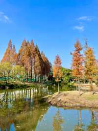 福州閩江公園|福州的浪漫，閩江公園佔一半。