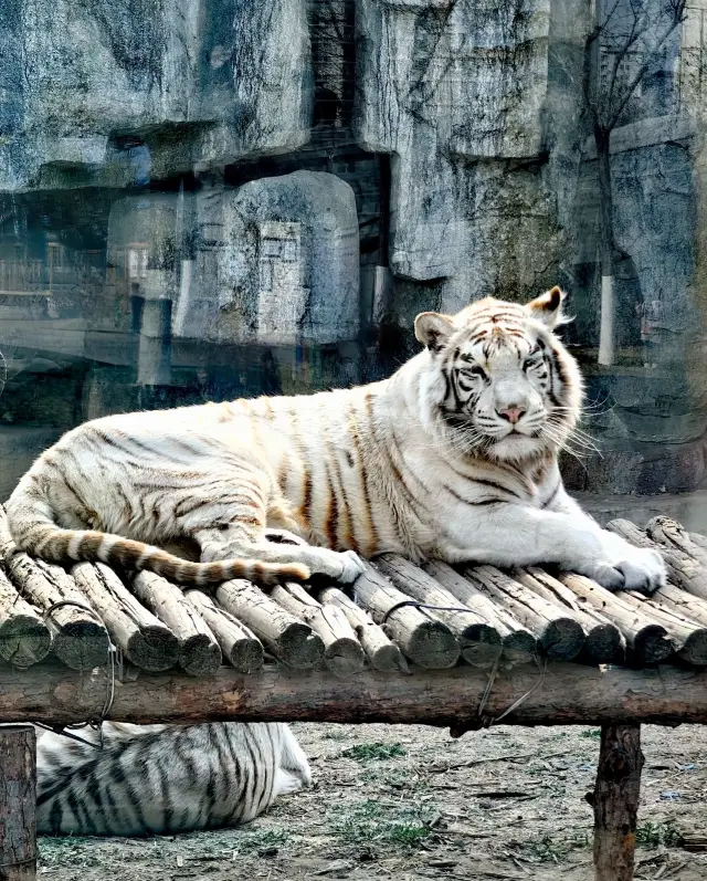 ทังซาน!! เมืองที่ทำให้ฉันประหลาดใจ!!