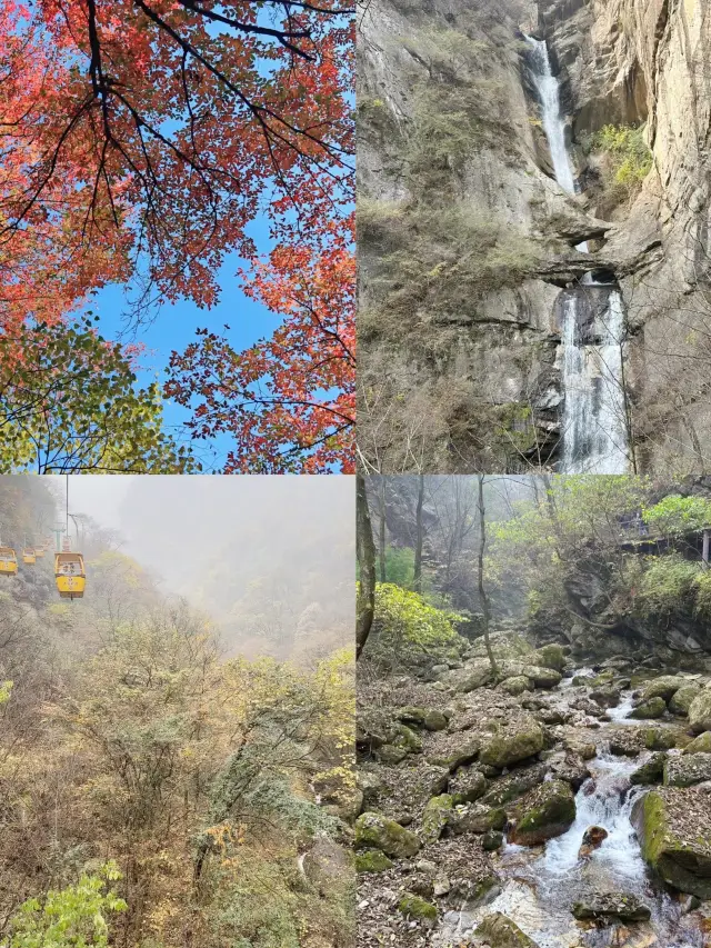 週末爬山太平國家森林公園。