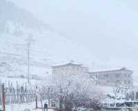 川西雪國夢境!甲根壩初冬風光太美了|。
