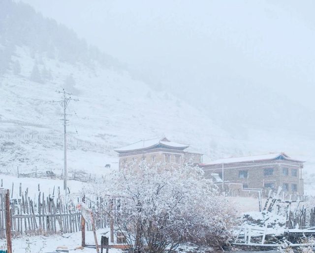 川西雪國夢境!甲根壩初冬風光太美了|。 川西雪國夢境!甲根壩初冬風光太美了|。