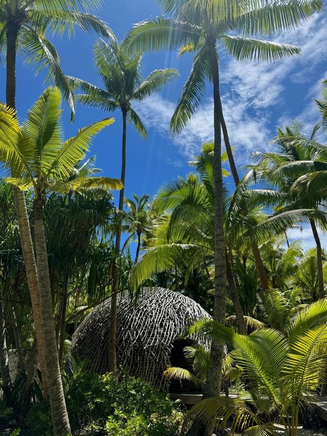 大溪地18張圖來自白蘭度私人島的震撼。