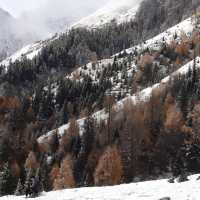 11.18 四姑娘山雪後實拍，比瑞士還像。