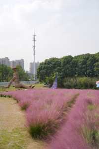 太美了！來蘇州不能錯過這個夢幻田園～。