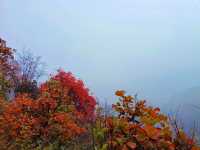 西安‖徒步五道梁觀賞紅葉。