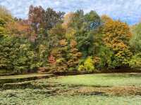 Autumn is the most beautiful season!! 