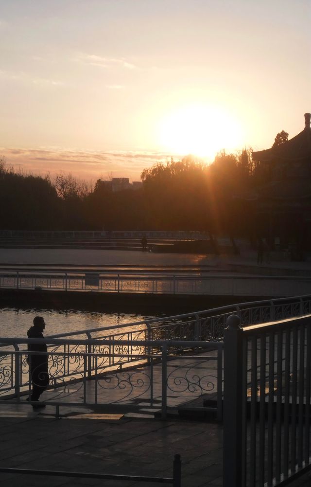 天津水上公園。
