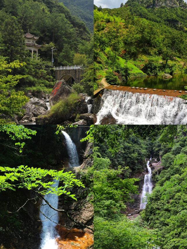 不做冤大頭天目山旅遊避雷||全攻略。