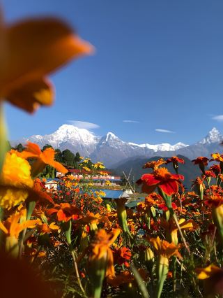 10-Day Nepal Tour: Unmissable Scenery