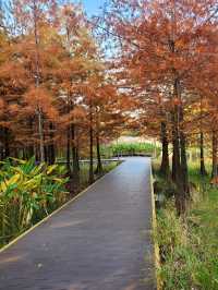 閔行文化公園。