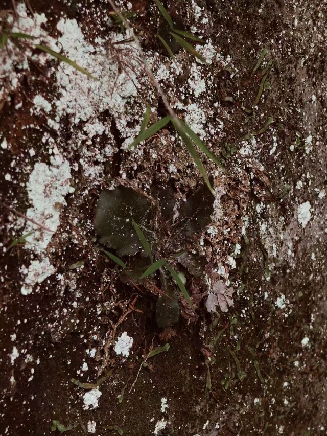 內江市石板河景區 | 避暑遊玩好去處。