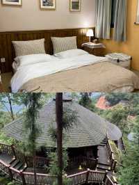 幽靜深山住宿，避世好去處，卡莎莎樹屋民宿～。