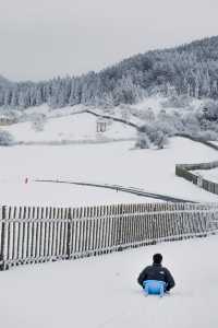 仙女山·重慶人自己的北海道