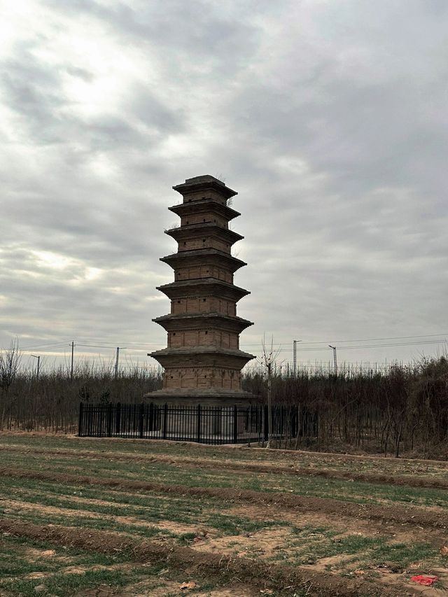 臨猗閭原頭永興寺塔|莊稼地裡的古塔