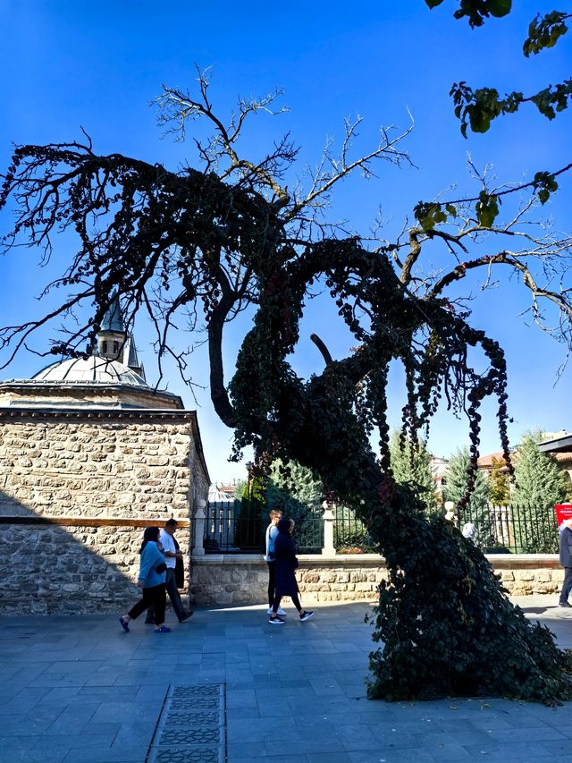 土耳其第二十七站，梅烏拉那博物館