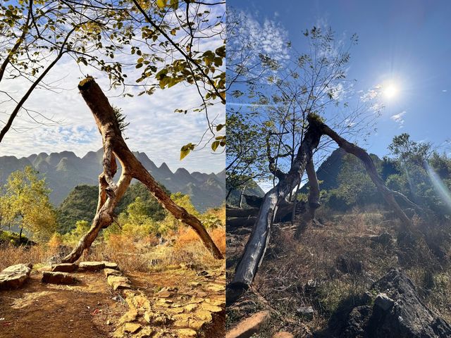 清遠秦漢古道體驗