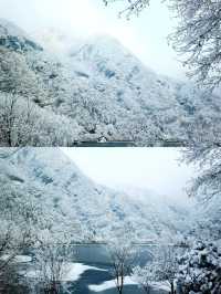 翠華山滑雪場暢滑不止,心跳加速!