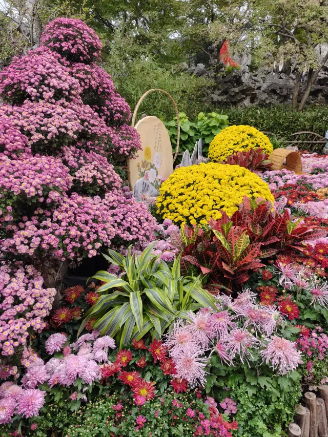 3일 동안 쑤저우의 아름다운 풍경을 즐기는 초상세 여행 가이드가 왔습니다