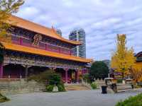 西普陀寺