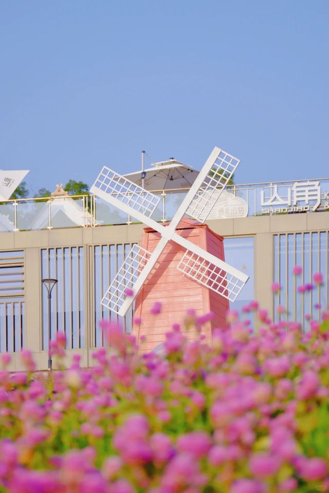 梅海花台·千日紅的浪漫，滿滿的回憶！