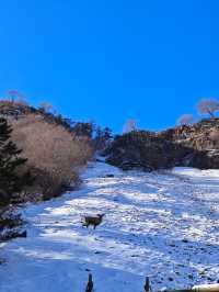 山不見我 我去見山｜賀蘭山