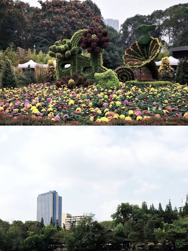 在四川成都，感受人民公園的悠閒生活氛圍
