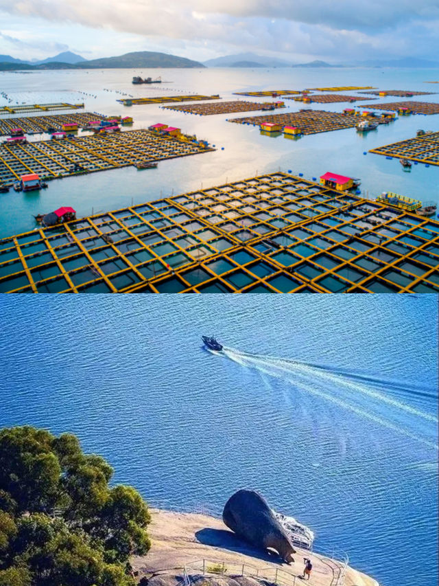 冬日勝景 福滿八閩|這個冬天來福建嚐鮮！