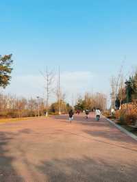 活力滿滿的公園行