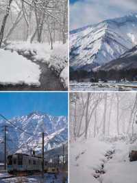 北海道太擠？長野的雪景美哭你！