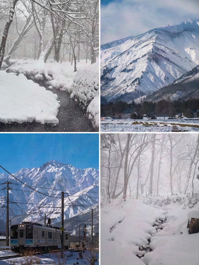 北海道太擠？長野的雪景美哭你！
