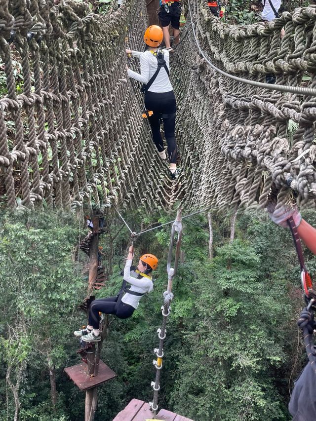 去雲南西雙版納原始森林體驗人猿泰山的快樂