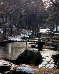 邂逅盛岡城跡公園，探尋歷史的雪影