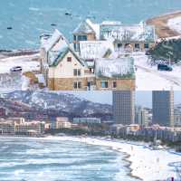 在海邊看雪景！！！威海真是太合適啦！！！