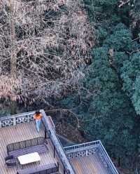 深山尋龍~59年的老錢風酒店被誇了100遍！