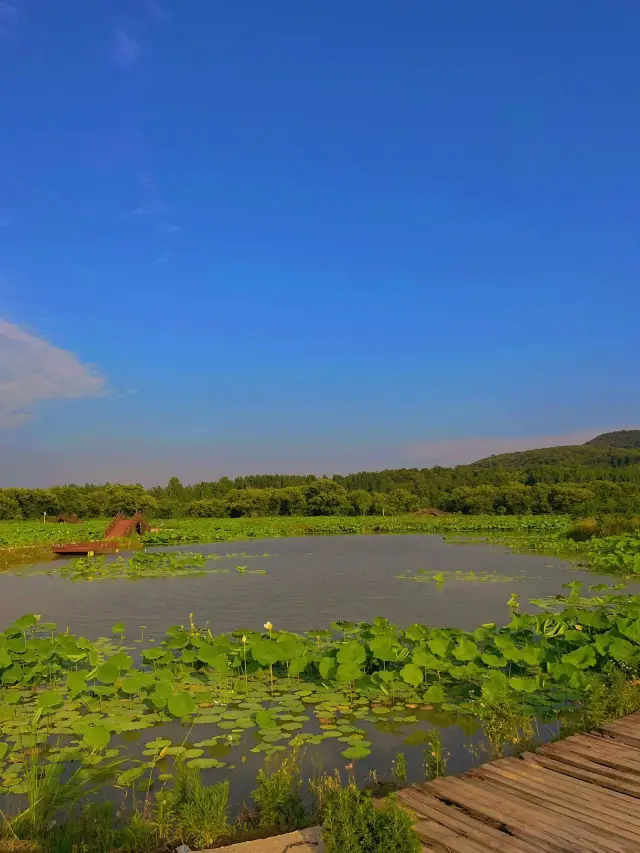 4日探秘南海禪寺-嵖岈山 超全攻略帶你玩轉熱門風景