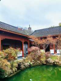 千年禪韻裡的心靈歸處——金山寺