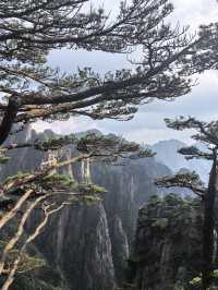 2日暢遊千島湖-黃山 超詳細攻略助你玩轉雙城