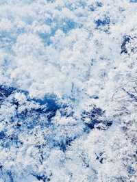 在光霧山，邂逅冬日限定的童話夢境